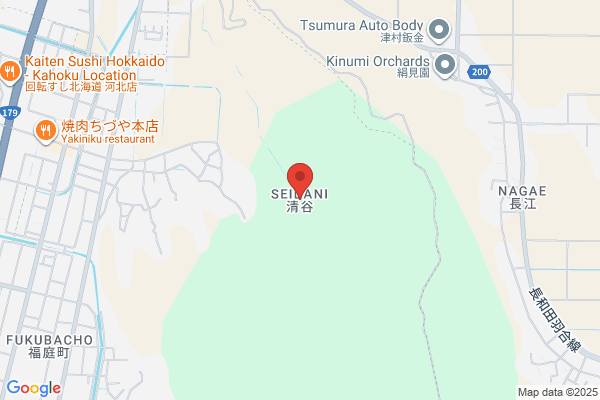 ゲオ倉吉店