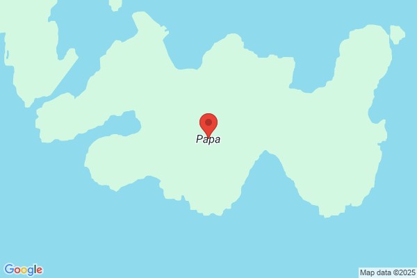 PAPA’S 泉ヶ丘店