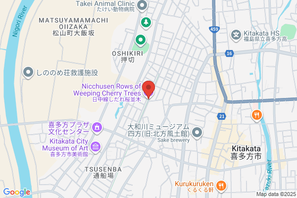 日中線記念自転車歩行者道のしだれ桜