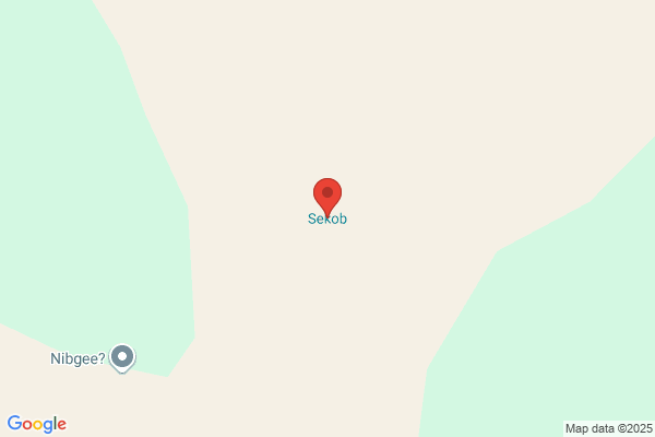 STAGE FOUR