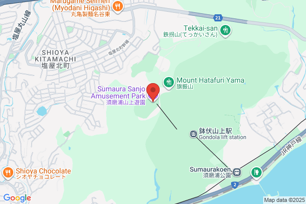 かみしんプラザ AMUSE PARK（アミューズパーク）