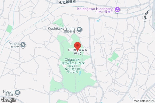アイシティ ラスカ茅ヶ崎店