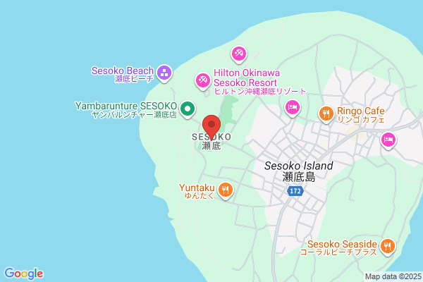 やんばるジェラート ハナサキマルシェ店
