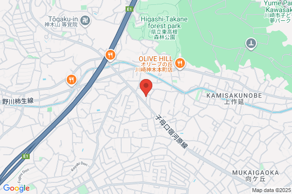 ドーミー宮崎台