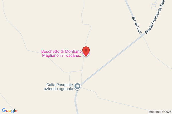 Boschetto