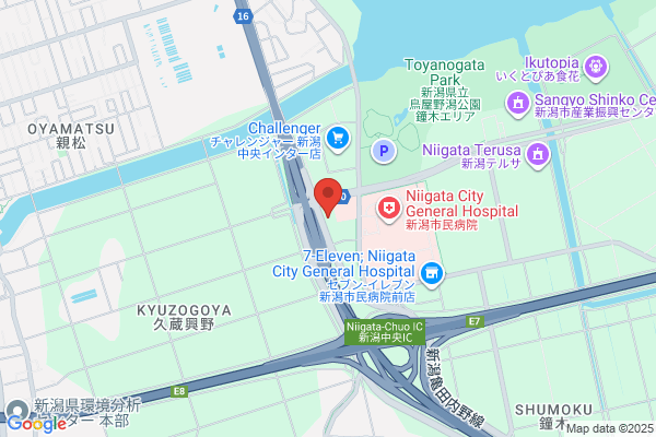 東横INN新潟駅前