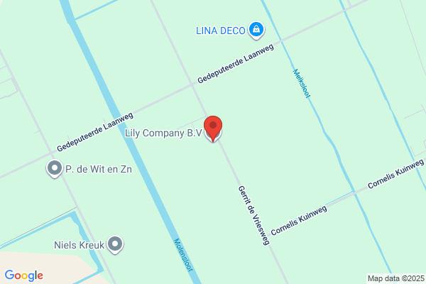 株式会社LillyHoldings