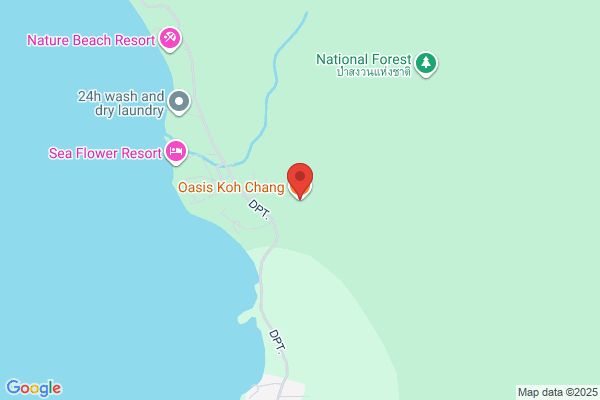 Oasis