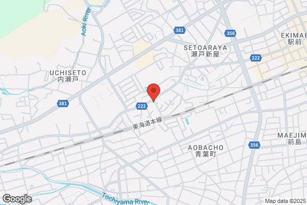 ドミノ・ピザ藤枝築地店