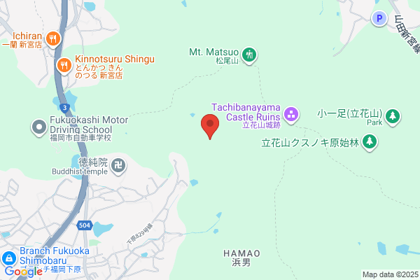 メガセンタートライアル新宮店