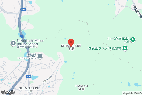 ゲオ アーバンモール新宮中央店