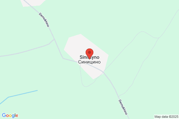 ステーキハウス ブロンコビリー厚木及川店