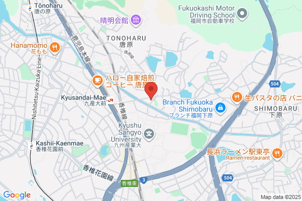 トゥルーカラーズ・ビューティー