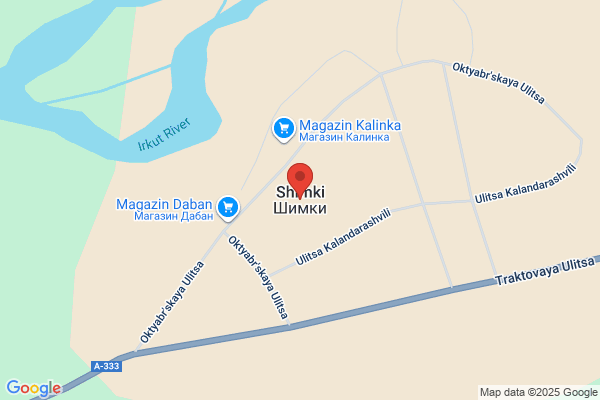 ドミノ・ピザ前橋大友町店