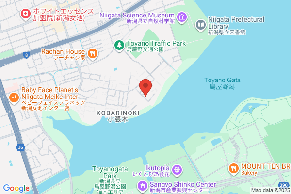 旬魚旬菜 極DINING若旦那 新潟駅前弁天通り店