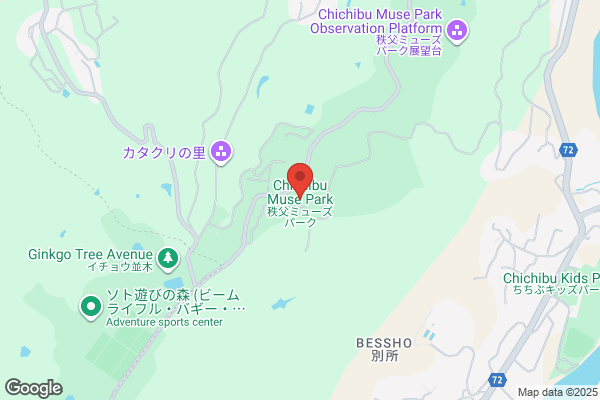 かみしんプラザ AMUSE PARK（アミューズパーク）
