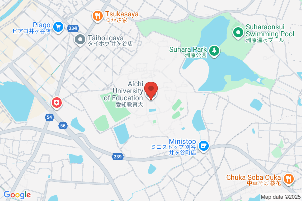 PHỞ VIỆT AICHI