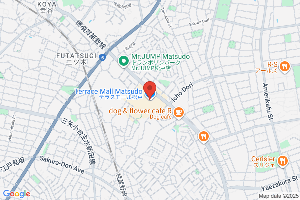 IPPUDO RAMEN EXPRESS テラスモール松戸店 - 閉店