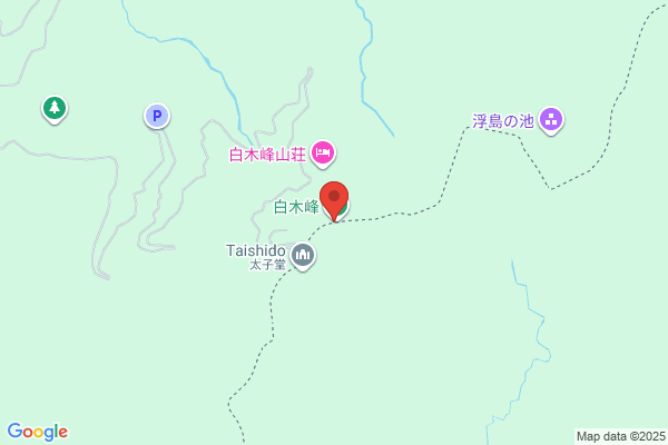 ウォンツ 白木店