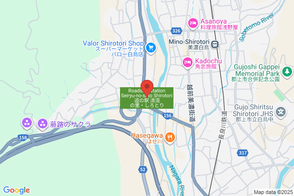 ゲオ向日店