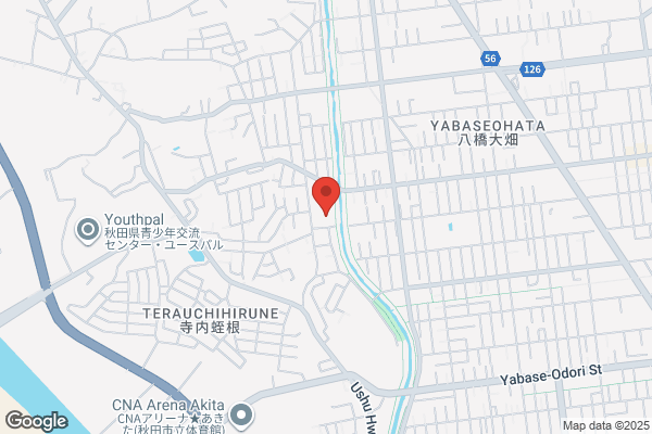 ツルハドラッグ 秋田寺内店