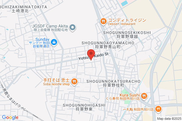 ツルハドラッグ 秋田将軍野店