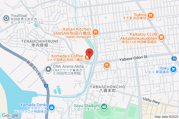 ゲオスーパーブックス八橋店