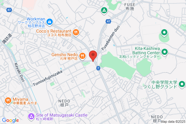 ドミノ・ピザ柏根戸店