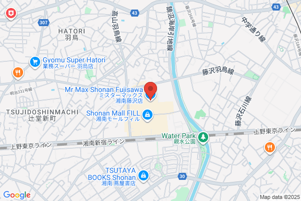ペッパーランチ Ｍｒ.Ｍａｘ湘南藤沢店