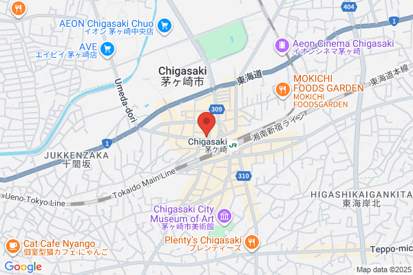 株式会社ミニミニ神奈川 茅ケ崎店