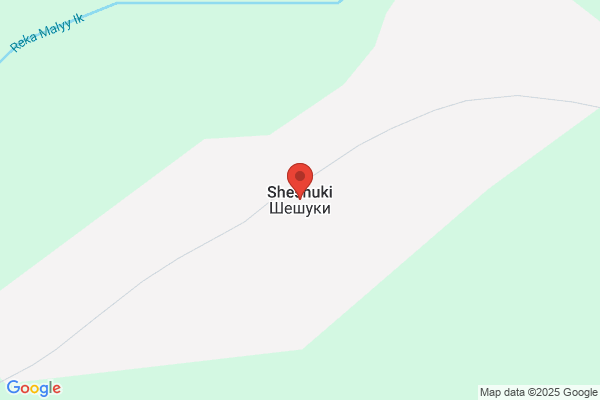 ドミノ・ピザ観音寺店