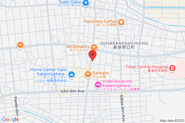 ゲオ蘇原店