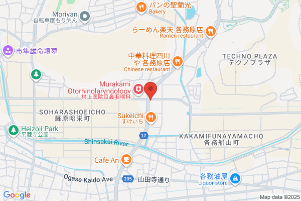 LA MIA MARCHE