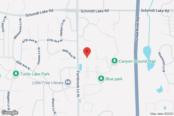 Orchid