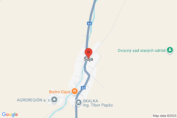 牛カツ京都勝牛 京都駅前店