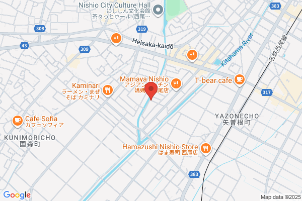 ゲオ西尾店