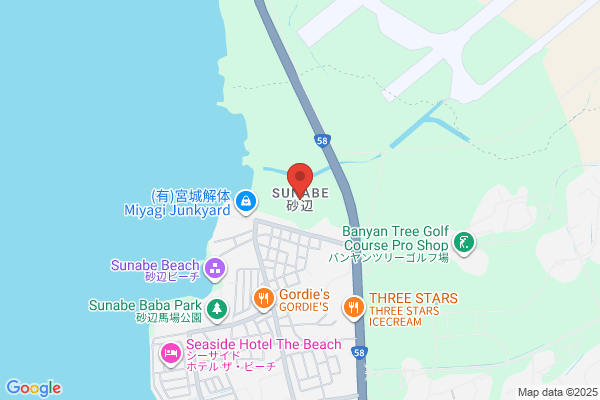 ブルーシール デポアイランド店