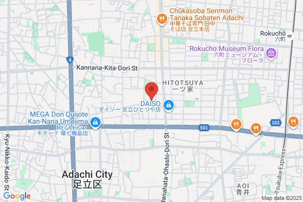 Dai Ichi Kogaku Co., Ltd.