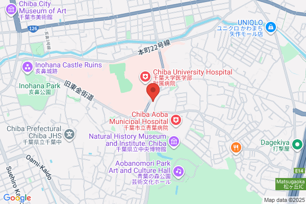 Chiba Pharmacy