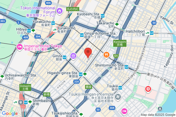 Otsuka Academy of Cosmetic Surgery, The
