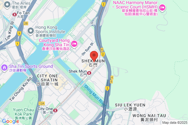 China Travel Service Ltd.