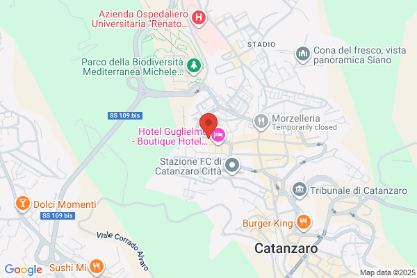 QUESTA E PIZZA
