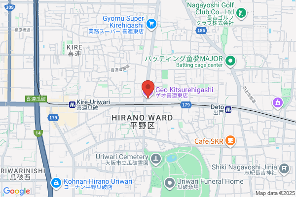 ゲオ喜連東店