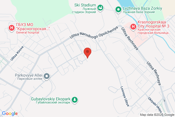 ドミノ・ピザ平店