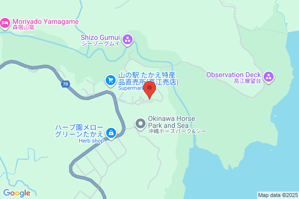 やよい軒 うるま江洲店