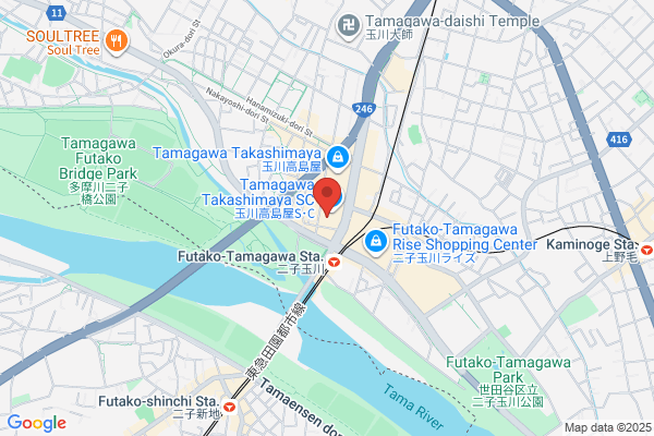 IL BISONTE 熊本店