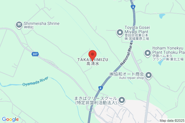 LaserMaxxSTRAAL
