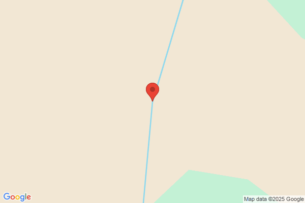 ドッグブリーダー ブルド