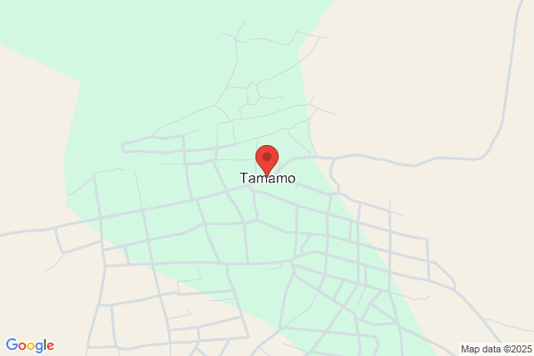 くすりのレデイ 今里店