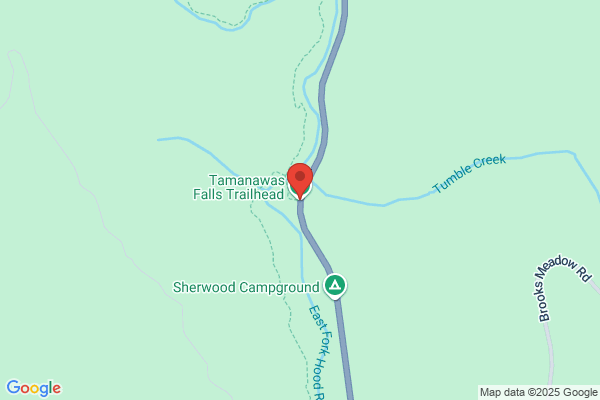 鮨・酒・肴 杉玉 大船